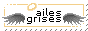 plumes